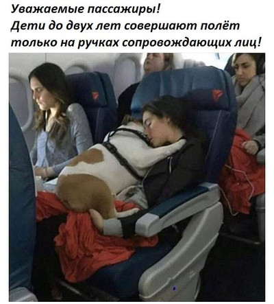 Объявление в самолёте: Уважаемые пассажиры! Дети до двух лет совершают полёт только на ручках сопровождающих лиц!
