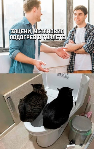 — Зацени, установил подогрев в туалете.
*два чёрных кота греются на унитазе*