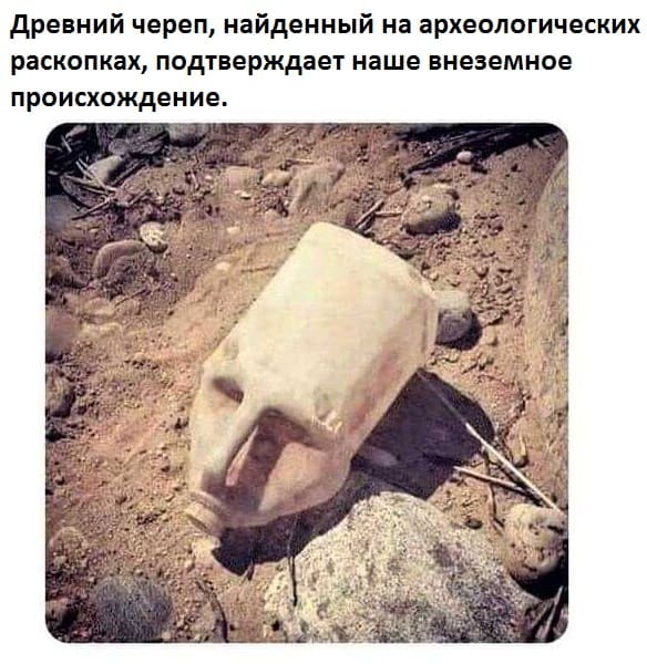 Древний череп, найденный на археологических раскопках, подтверждает наше внеземное происхождение.