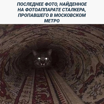 Последнее фото, найденное на фотоаппарате сталкера, пропавшего в московском метро.
