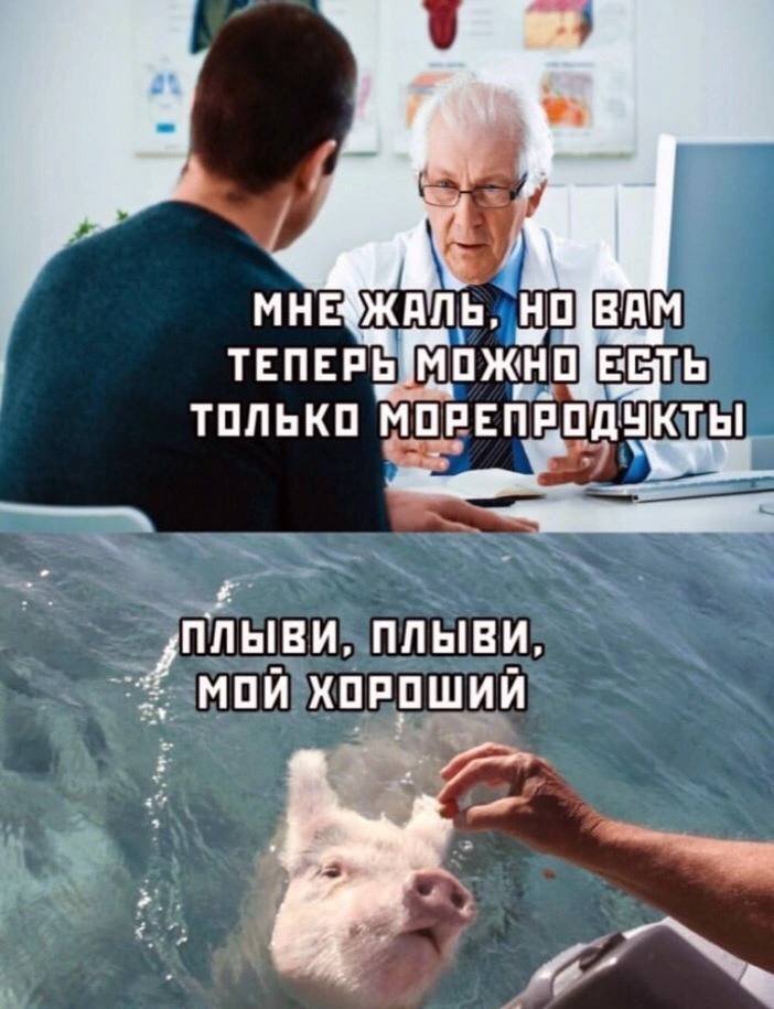 Доктор:
— Мне жаль, но вам теперь можно есть только морепродукты.
Я, вылавливая свинью из морской воды:
*Плыви, плыви, мой хороший*