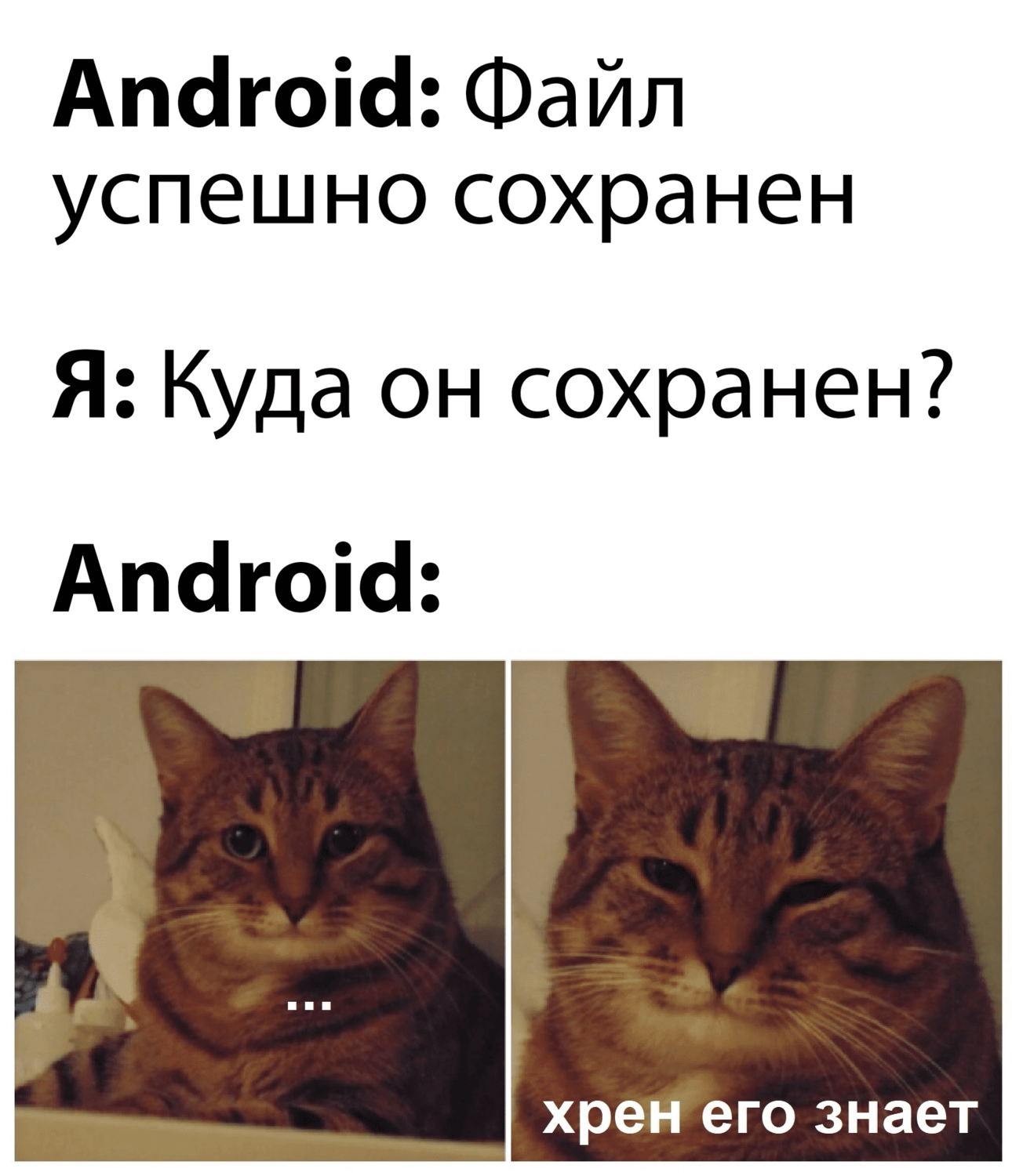 Android: Файл успешно сохранён.
Я: Куда он сохранен?
Android: А хрен его знает...
