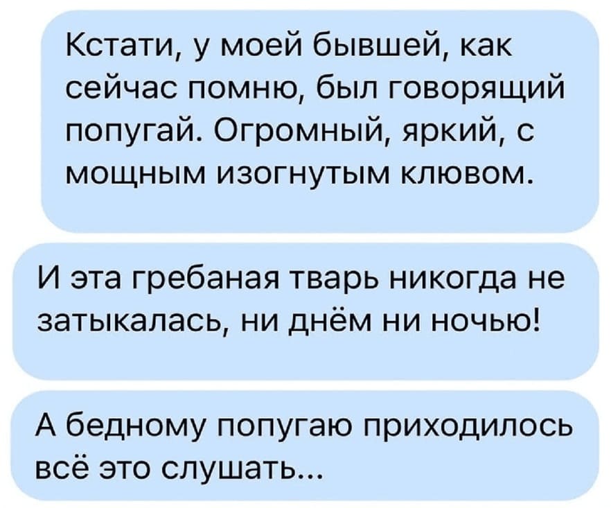 Кстати, у моей бывшей, как сейчас помню, был говорящий попугай. Огромный, яркий, с мощным изогнутым клювом. И эта грёбаная тварь никогда не затыкалась, ни днём ни ночью! А бедному попугаю приходилось всё это слушать...