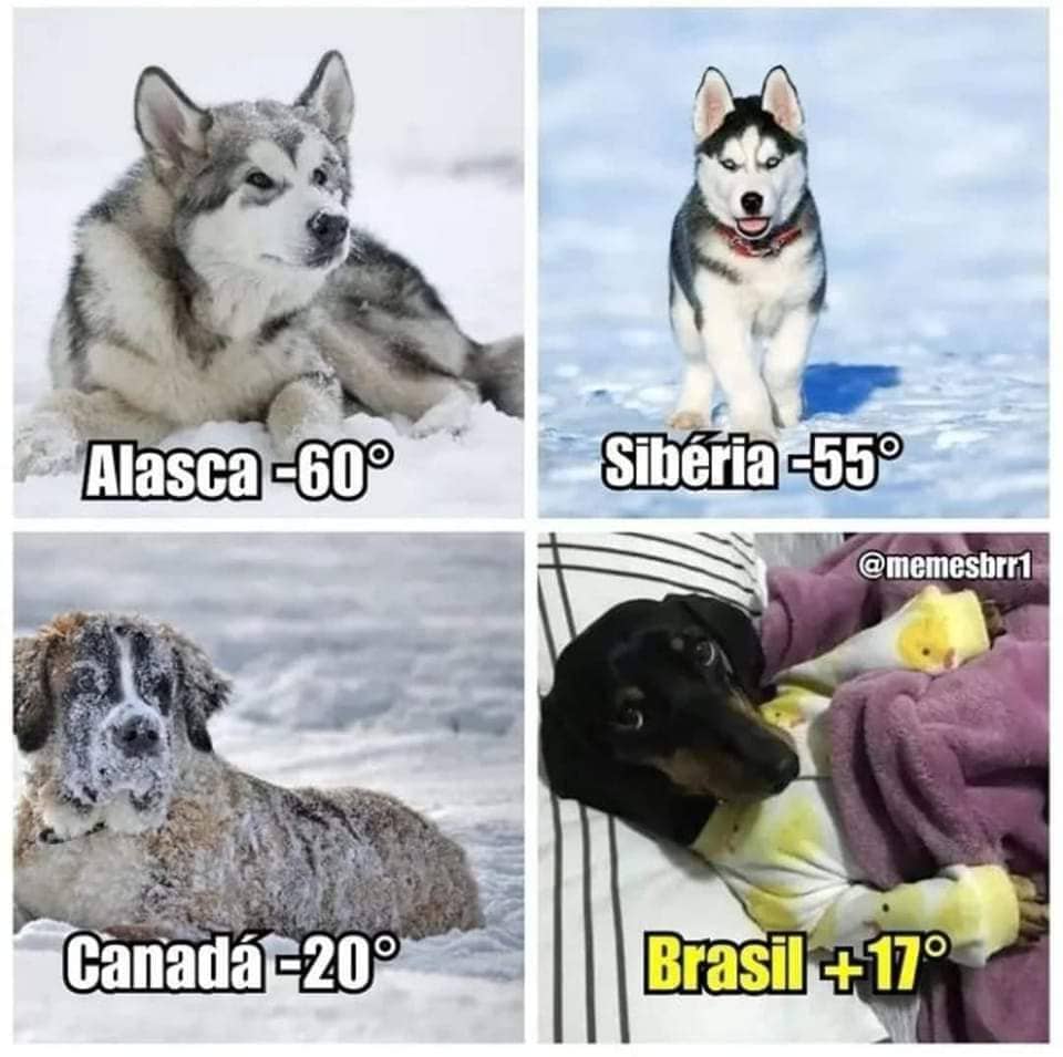 Alasca: –60;
Siberia: –55;
Canada: –20;
Brasil: +17.