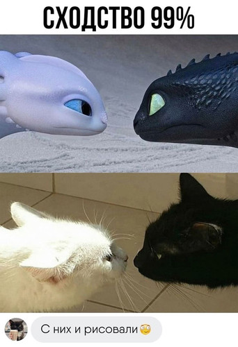 *Как приручить дракона*
Сходство сто процентов.
*Белый и чёрный кот*
— С них и рисовали.