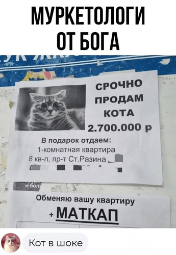 Рекламное объявление на столбе: «Срочно продам кота 2.700.000 р. В подарок отдаём: 1-комнатная квартира».
Комментарий:
— По моему, кот в шоке.