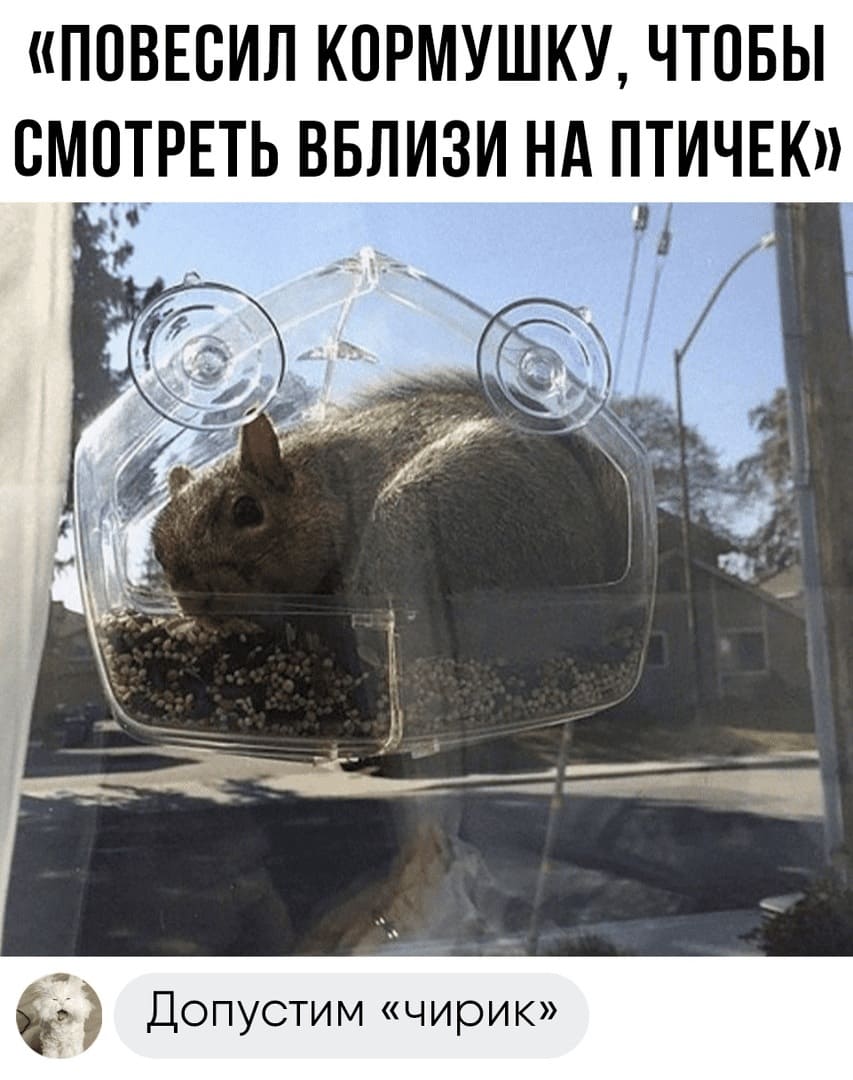 «Повесил кормушку, чтобы смотреть вблизи на птичек».
— Ну, допустим «чирик».