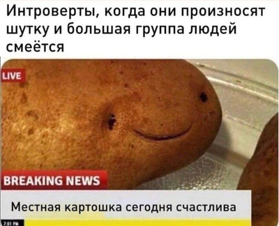 Интроверты, когда они произносят шутку и большая группа людей смеётся.
BREAKING NEWS: Местная картошка сегодня счастлива.