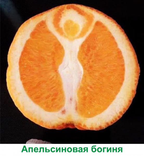 *Апельсиновая богиня*