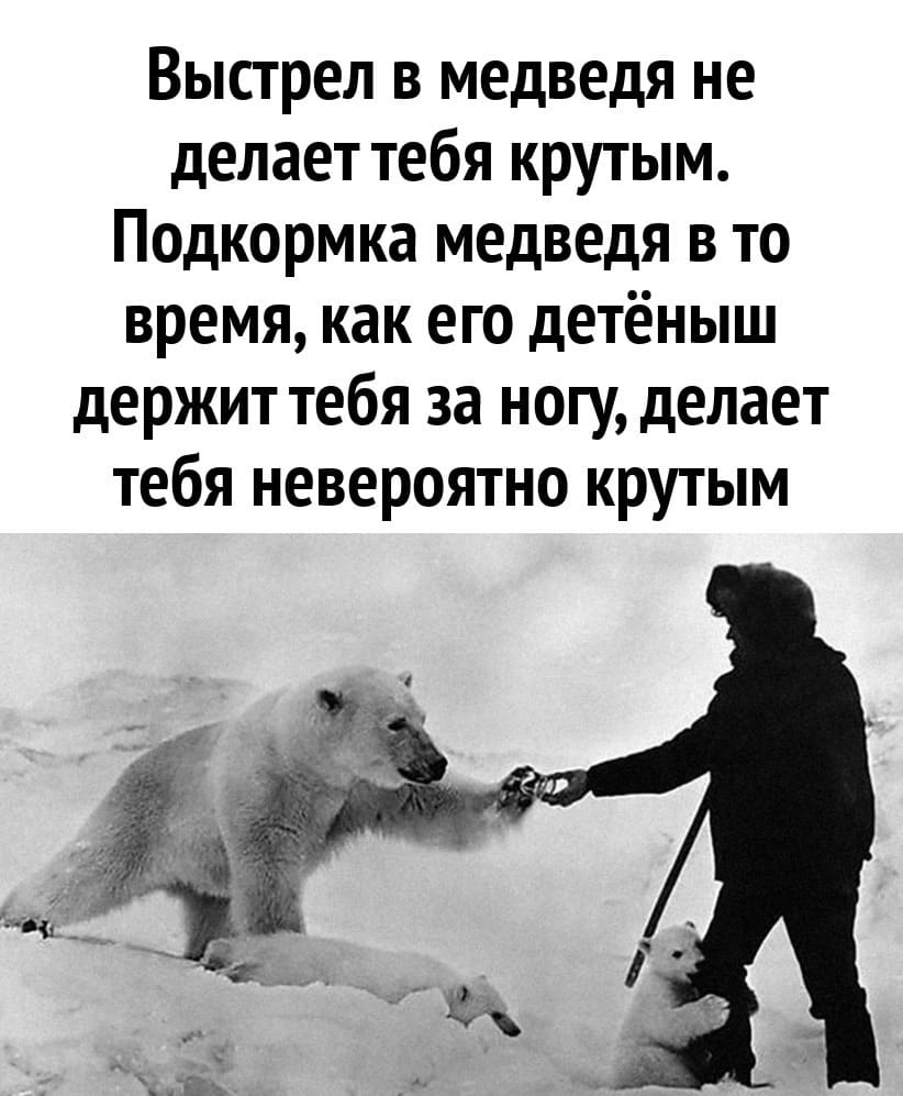 Выстрел в медведя не делает тебя крутым. Подкормка медведя в то время, как его детёныш держит тебя за ногу, делает тебя невероятно крутым.