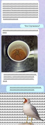 — Аааааа!
— Что случилось?
— *паук на дне выпитой чашки с кофем*
— ААААААА!