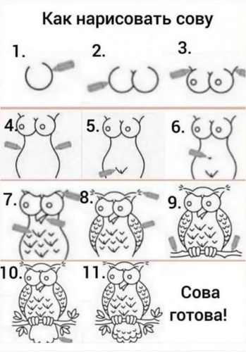 Как нарисовать сову?
1, 2, 3, 4, 5, 6, 7, 8, 9, 10, 11.
Сова готова!