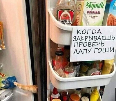 Надпись внутри холодильника: «Когда закрываешь дверцу холодильника, проверь лапу кота Гоши».