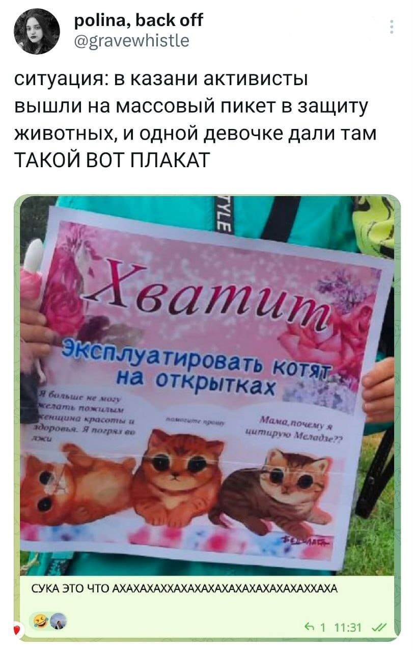 Ситуация: в Казани активисты вышли на массовый пикет в защиту животных, и одной девочке дали там ТАКОЙ ВОТ ПЛАКАТ: *ХВАТИТ эксплуатировать котят на открытках*