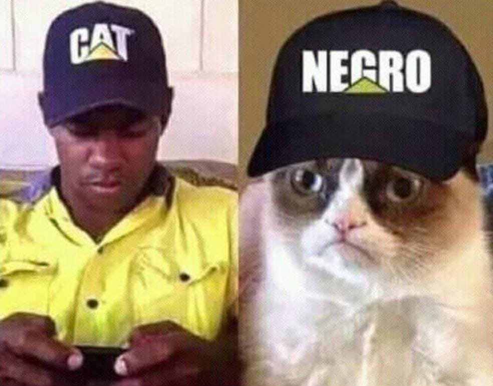 Cat & Negro.