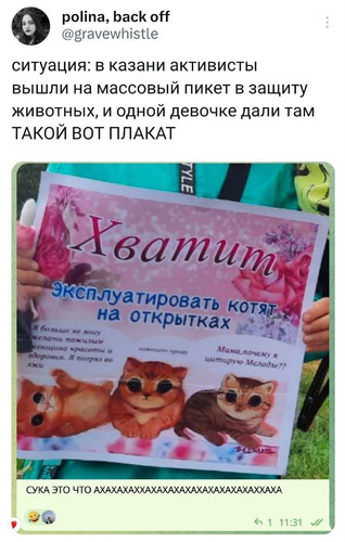 Ситуация: в Казани активисты вышли на массовый пикет в защиту животных, и одной девочке дали там ТАКОЙ ВОТ ПЛАКАТ: *ХВАТИТ эксплуатировать котят на открытках*