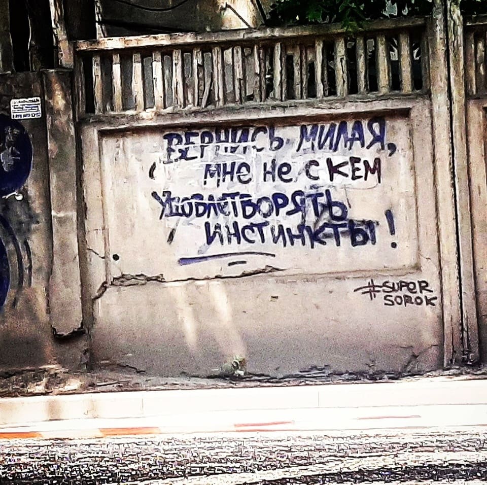 Надпись на заборе: «Вернись милая, мне не с кем удовлетворять инстинкты!»