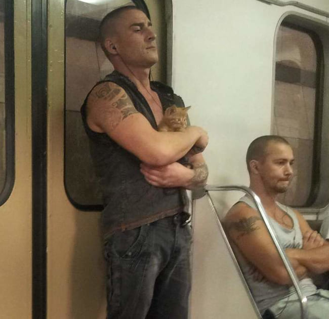 Парень с котёнком в вагоне метро.