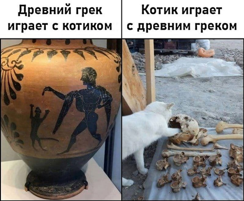 *Древний грек играет с котиком*
*Котик играет с древним греком*