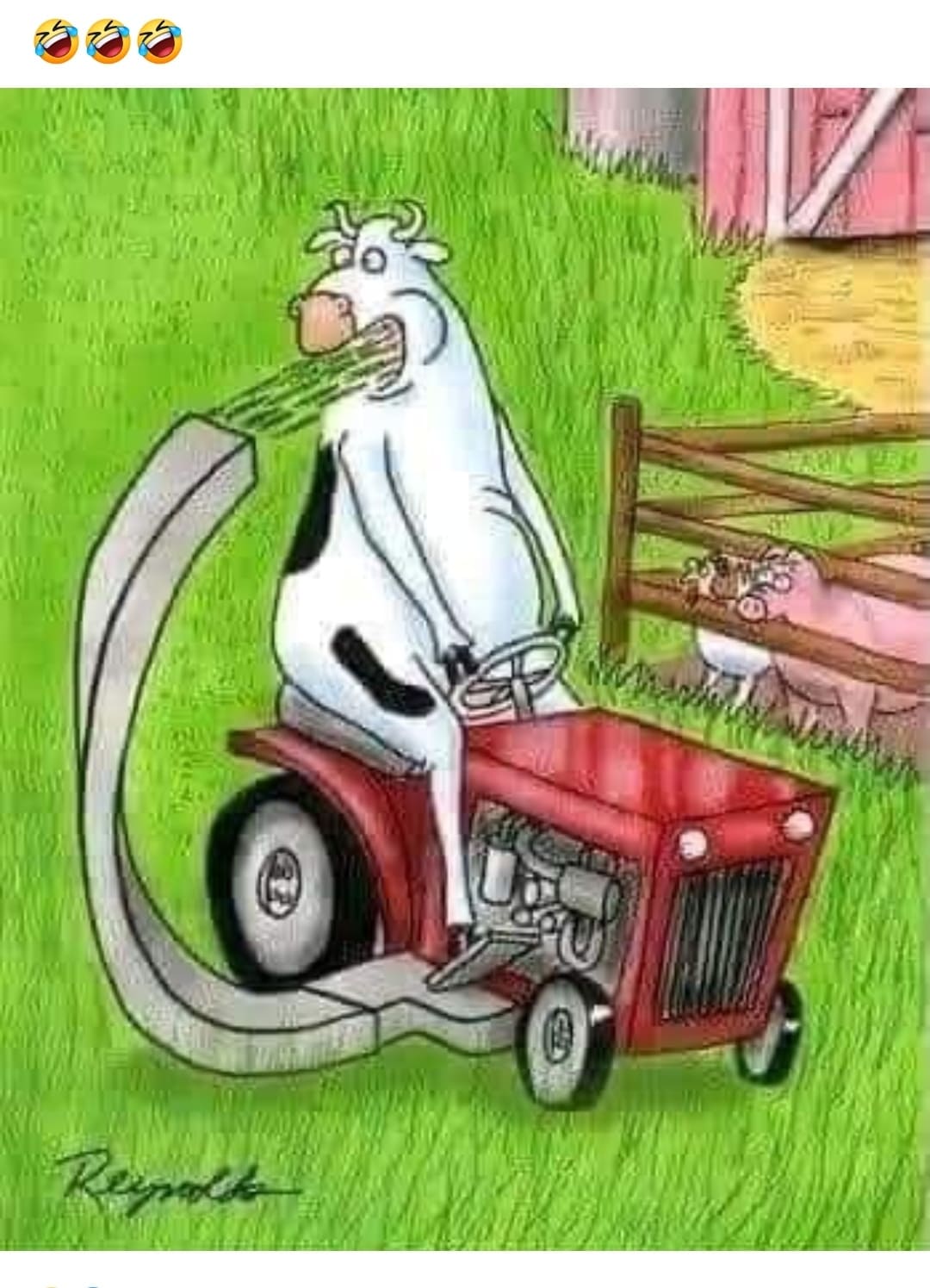 *Корова на газонокосилке*