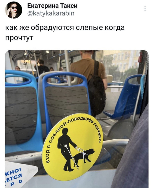 Надпись при входе в автобус: «Вход с собакой-поводырём разрешён».