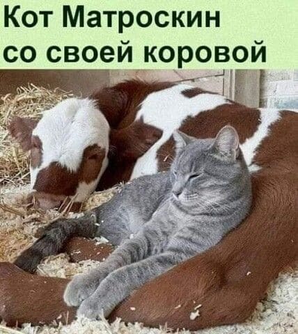 *Кот Матроскин со своей коровой*