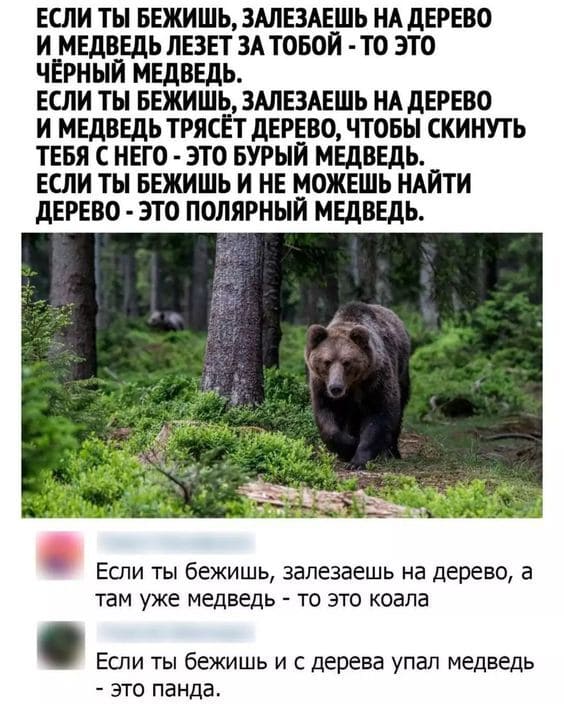 Если ты бежишь, залезаешь на дерево и медведь лезет за тобой — то это чёрный медведь.
Если ты бежишь, залезаешь на дерево и медведь трясёт дерево, чтобы скинуть тебя с него — это бурый медведь.
Если ты бежишь и не можешь найти дерево — это полярный медведь.
Если ты бежишь, залезаешь на дерево, а там уже медведь — то это коала.
Если ты бежишь и с дерева упал медведь — это панда.