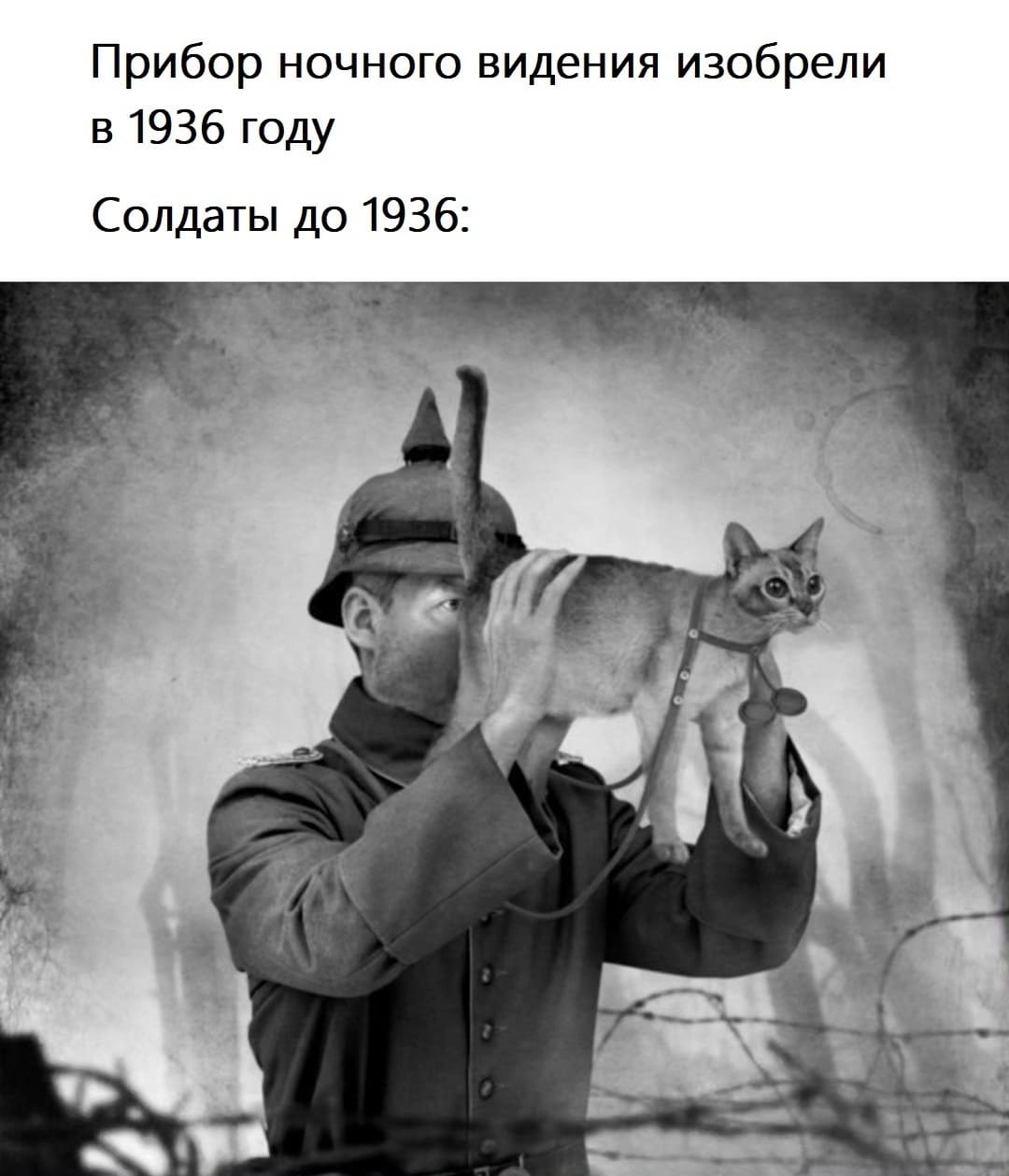 Прибор ночного видения изобрели в 1936 году.
Солдаты до 1936: *солдат смотрит котом как биноклем*