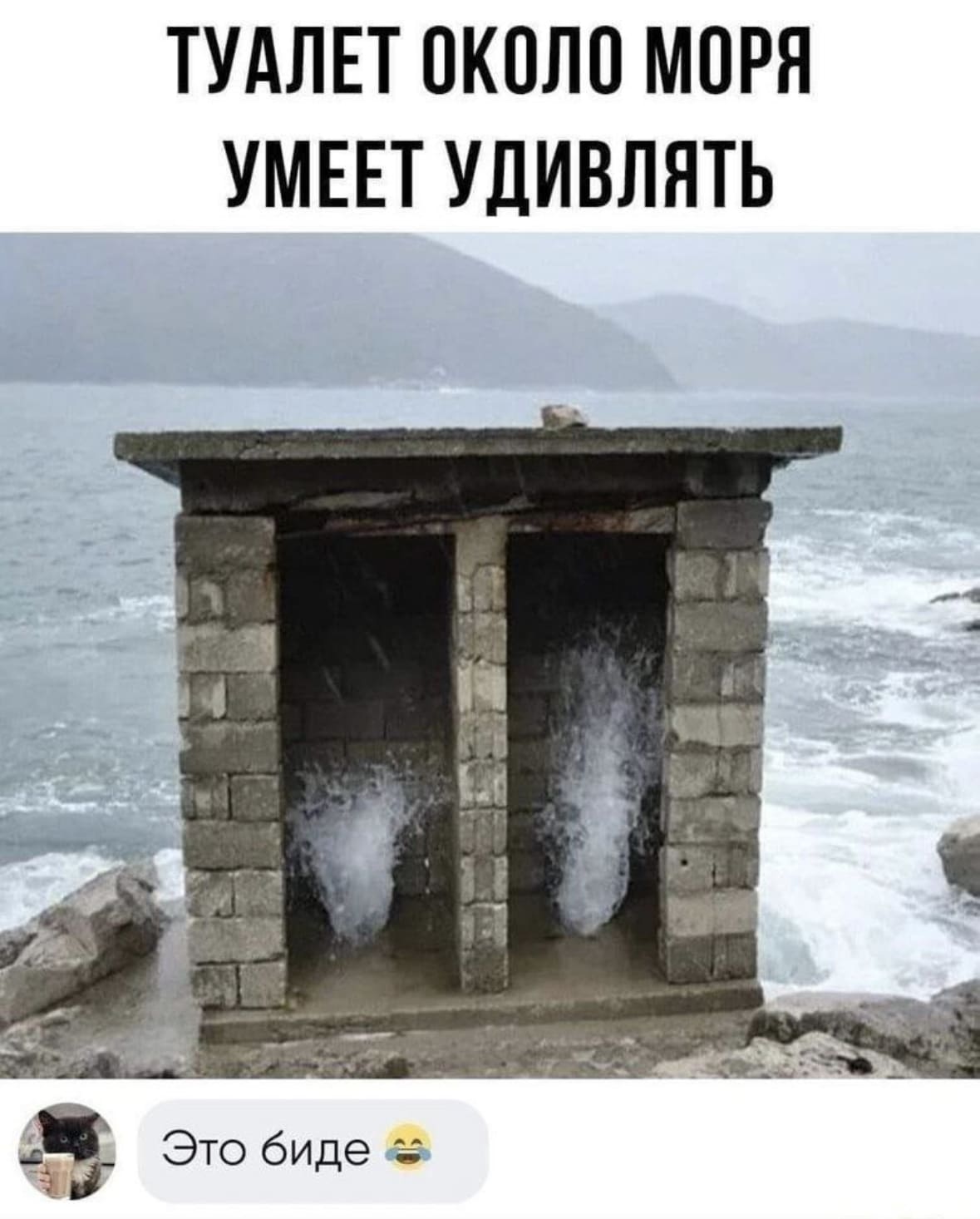 *Туалет около моря умеет удивлять*
— Это биде.
