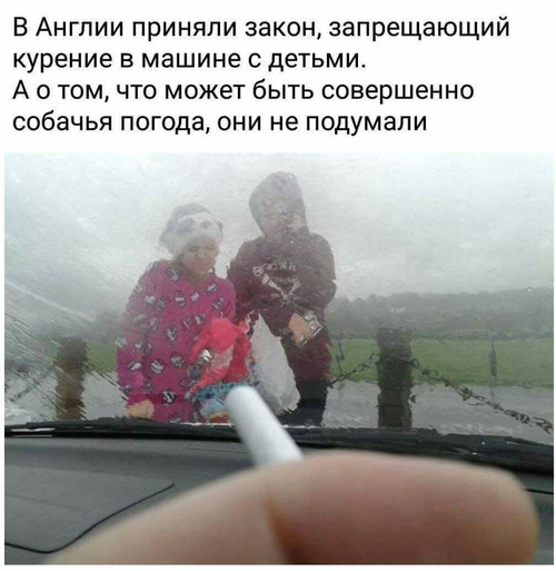 В Англии приняли закон, запрещающий курение в машине с детьми.
А о том, что может быть совершенно собачья погода, они не подумали.