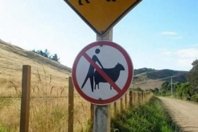 Знак: *Сношаться с овцами запрещено*