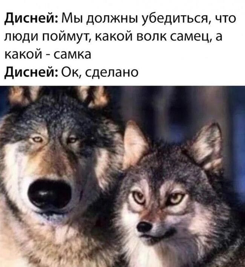 Дисней: Мы должны убедиться, что люди поймут, какой волк самец, а какой — самка.
Дисней: Ок, сделано.