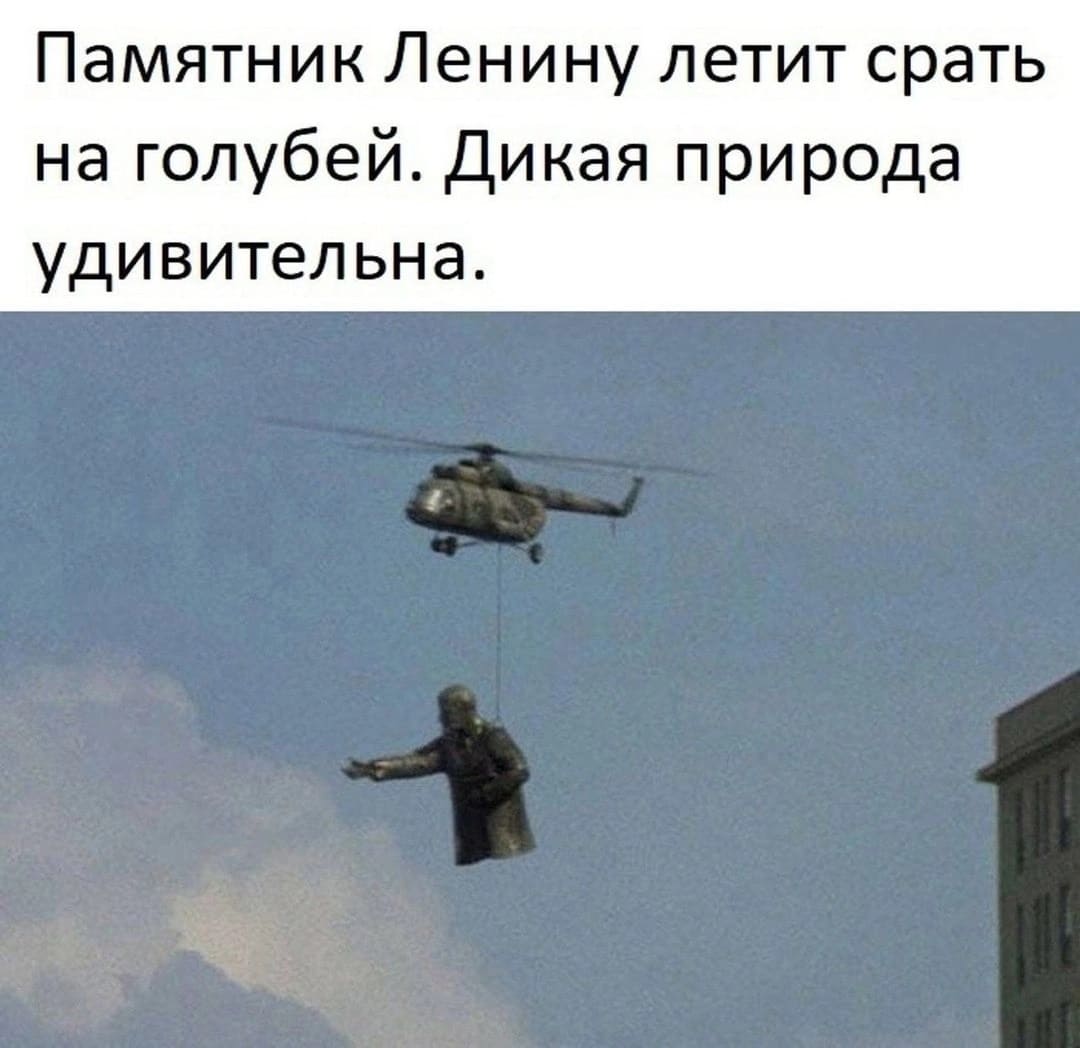 Памятник Ленину летит срать на голубей. Дикая природа удивительна.