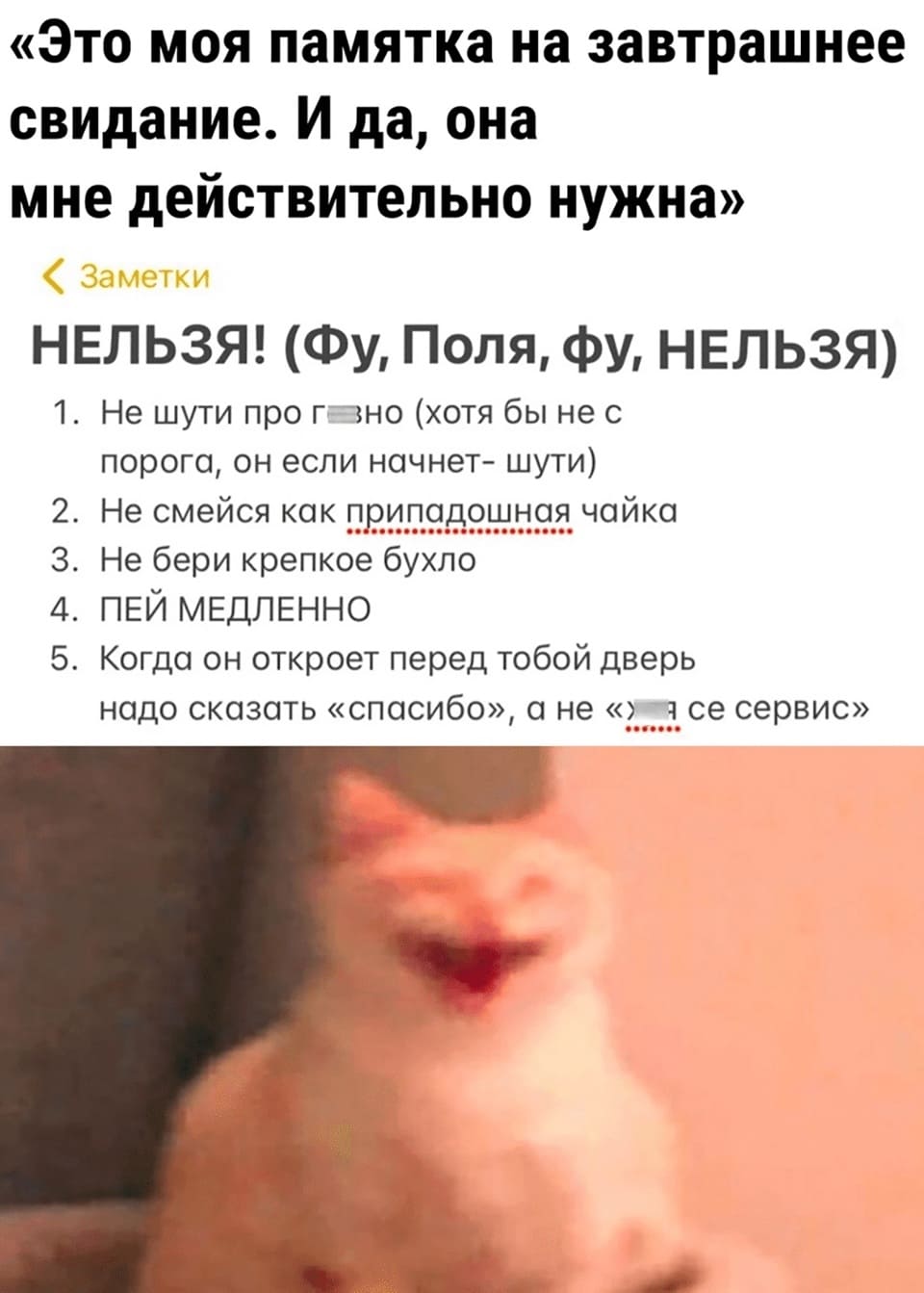«Это моя памятка на завтрашнее свидание. И да, она мне действительно нужна»
Заметки:
НЕЛЬЗЯ! (Фу, Поля, фу, НЕЛЬЗЯ)
1. Не шути про ...овно (хотя бы не с порога, он если начнет — шути)
2. Не смейся как припадошная чайка.
3. Не бери крепкое бухло.
4. ПЕЙ МЕДЛЕННО.
5. Когда он откроет перед тобой дверь надо сказать «спасибо», а не «х...ясе сервис».