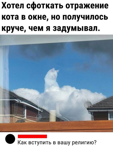 — Хотел сфоткать отражение кота в окне, но получилось круче, чем я задумывал.
— Как вступить в вашу религию?