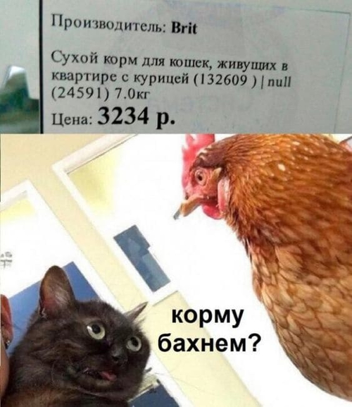 Производитель: Brit.
Сухой корм для кошек, живущих в квартире с курицей 7.0 кг.
Цена: 3234 р.