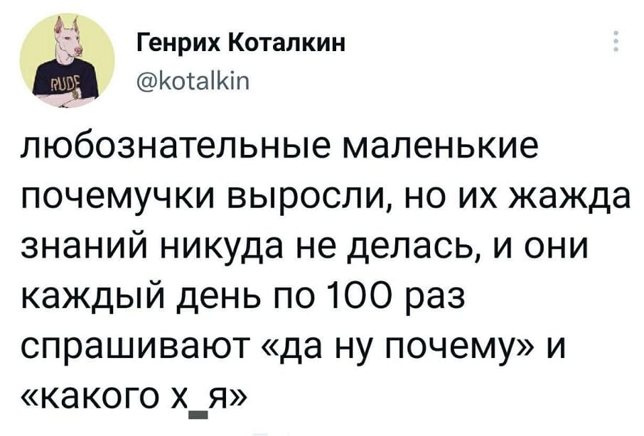 Любознательные маленькие почемучки выросли, но их жажда знаний никуда не делась, и они каждый день по 100 раз спрашивают «да ну почему» и «какого х*я».