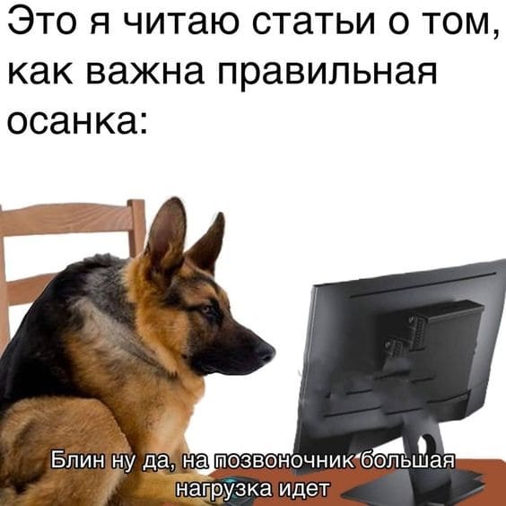 Это я читаю статьи о том, как важна правильная осанка:
– Блин ну да, на позвоночник большая нагрузка идёт...