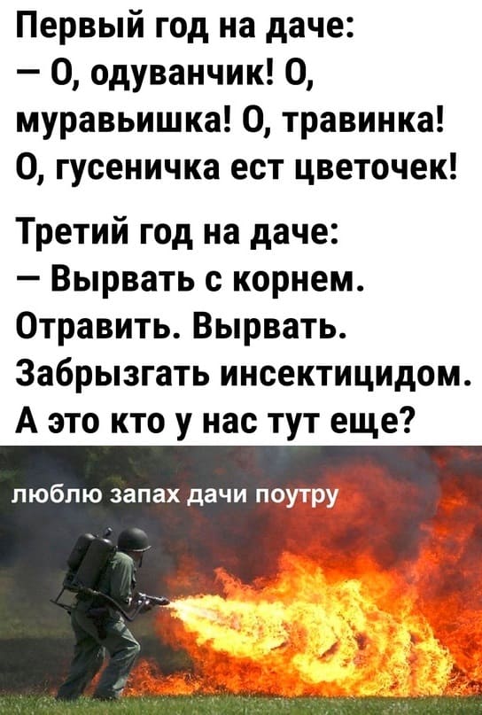 Первый год на даче:
– О, одуванчик! О, муравьишка! О, травинка! О, гусеничка ест цветочек!
Третий год на даче:
– Вырвать с корнем. Отравить. Вырвать. Забрызгать инсектицидом. А это кто у нас тут еще?
*Люблю запах дачи поутру*