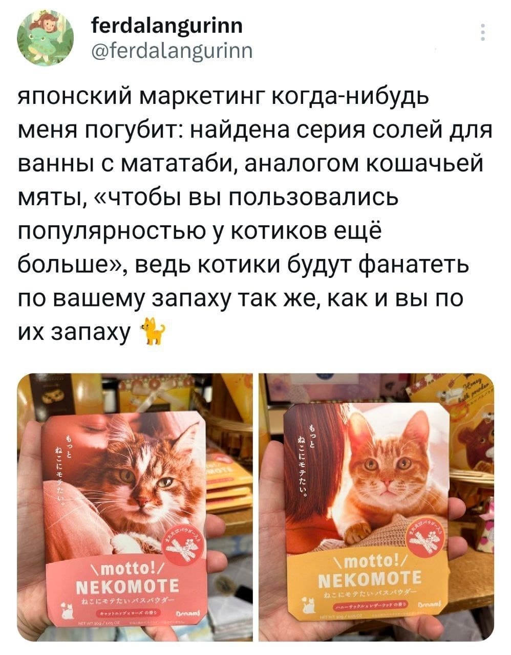 Японский маркетинг когда-нибудь меня погубит: найдена серия солей для ванны с мататаби, аналогом кошачьей мяты, «чтобы вы пользовались популярностью у котиков ещё больше», ведь котики будут фанатеть по вашему запаху так же, как и вы по их запаху.