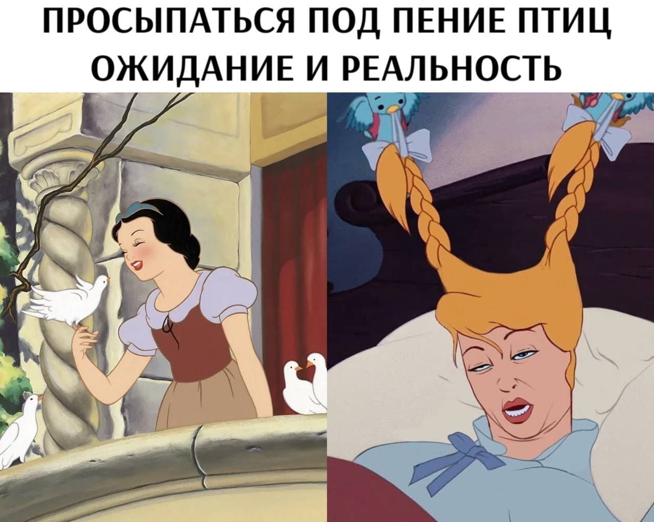 *ПРОСЫПАТЬСЯ ПОД ПЕНИЕ ПТИЦ ОЖИДАНИЕ И РЕАЛЬНОСТЬ*