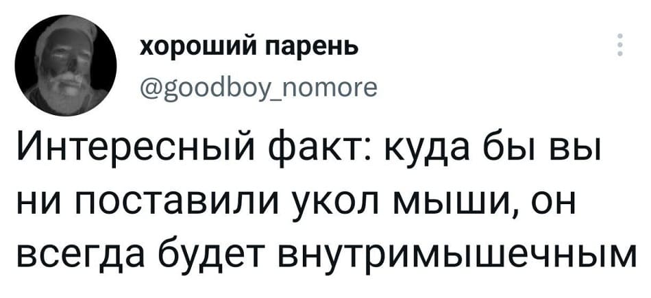 Интересный факт: куда бы вы ни поставили укол мыши, он всегда будет внутримышечным.