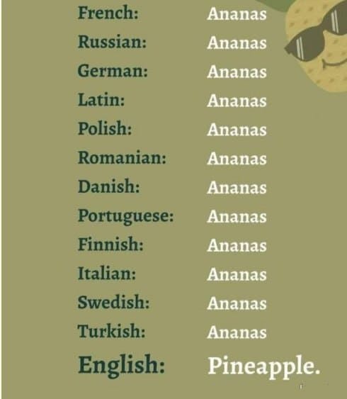 French: Ananas
Russian: Ananas 
German: Ananas 
Latin: Ananas 
Polish: Ananas 
Romanian: Ananas 
Danish: Ananas 
Portuguese: Ananas 
Finnish: Ananas 
Italian: Ananas 
Swedish: Ananas 
Turkish: Ananas 
English: Pineapple.
