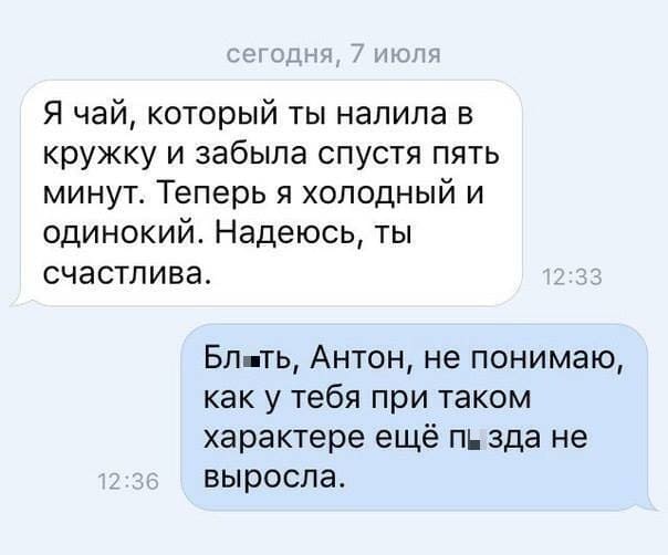 – Я чай, который ты налила в кружку и забыла спустя пять минут. Теперь я холодный и одинокий. Надеюсь, ты счастлива.
– Бл*ть, Антон, не понимаю, как у тебя при таком характере ещё п*зда не выросла.