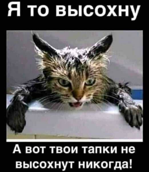 Я то высохну, а вот твои тапки не высохнут никогда!