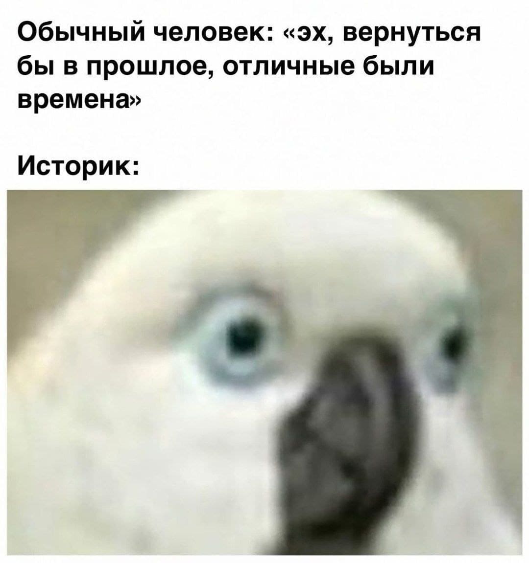 Обычный человек: «эх, вернуться бы в прошлое, отличные были времена».
Историк: