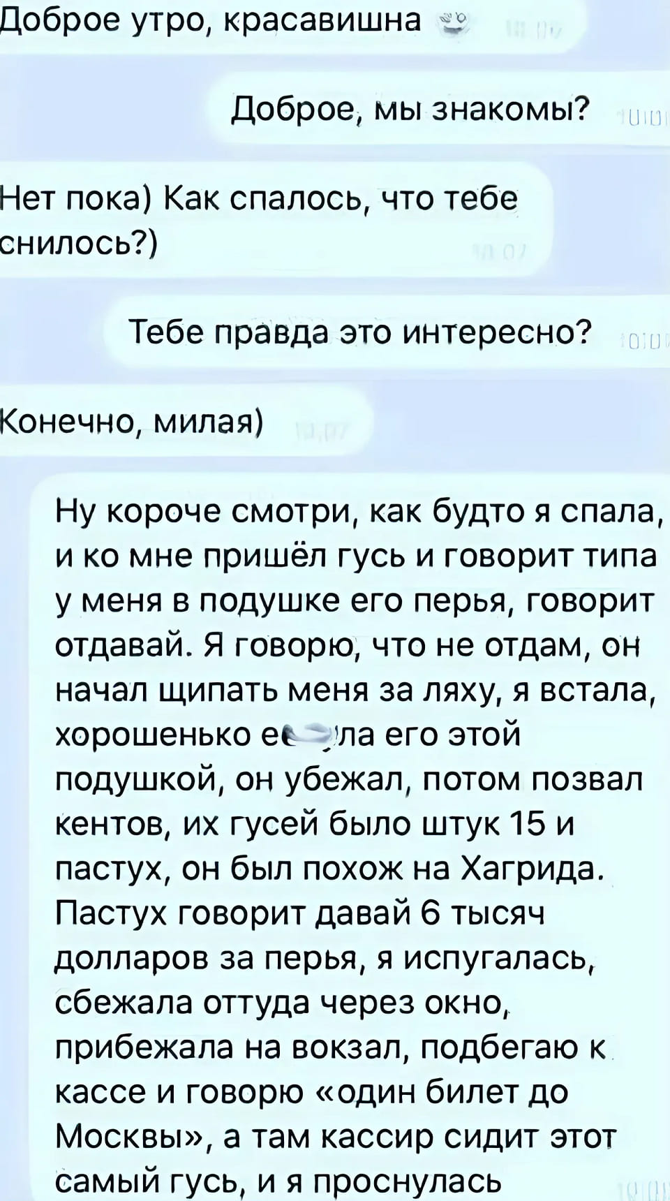 – Доброе утро, красавишна.
– Доброе, мы знакомы?
– Нет пока) Как спалось, что тебе снилось?)
– Тебе правда это интересно?
– Конечно, милая)
– Ну короче смотри, как будто я спала, и ко мне пришёл гусь и говорит типа у меня в подушке его перья, говорит отдавай. Я говорю, что не отдам, он начал щипать меня за ляху, я встала, хорошенько е6*нула его этой подушкой, он убежал, потом позвал кентов, их гусей было штук 15 и пастух, он был похож на Хагрида. Пастух говорит давай 6 тысяч долларов за перья, я испугалась, сбежала оттуда через окно, прибежала на вокзал, подбегаю к кассе и говорю «один билет до Москвы», а там кассир сидит этот самый гусь, и я проснулась.