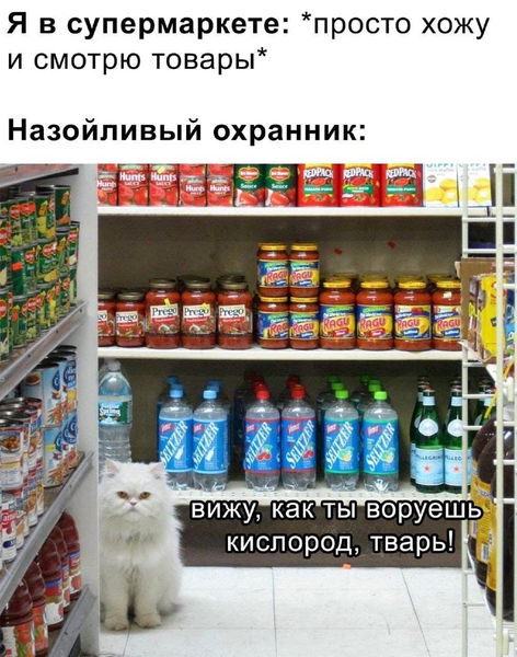 Я в супермаркете: *просто хожу и смотрю товары*
Назойливый охранник: *Вижу, как ты воруешь кислород, тварь!*