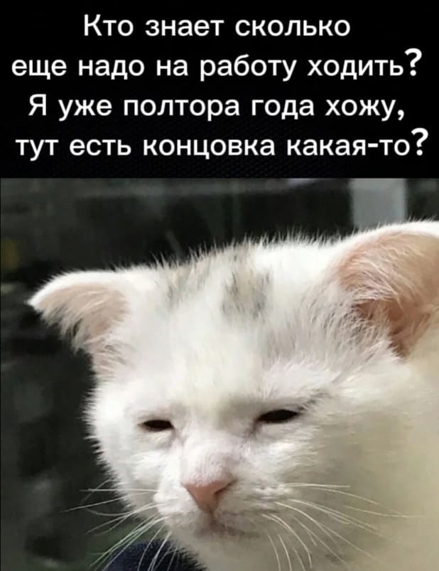 Кто знает сколько еще надо на работу ходить? Я уже полтора года хожу, тут есть концовка какая-то?