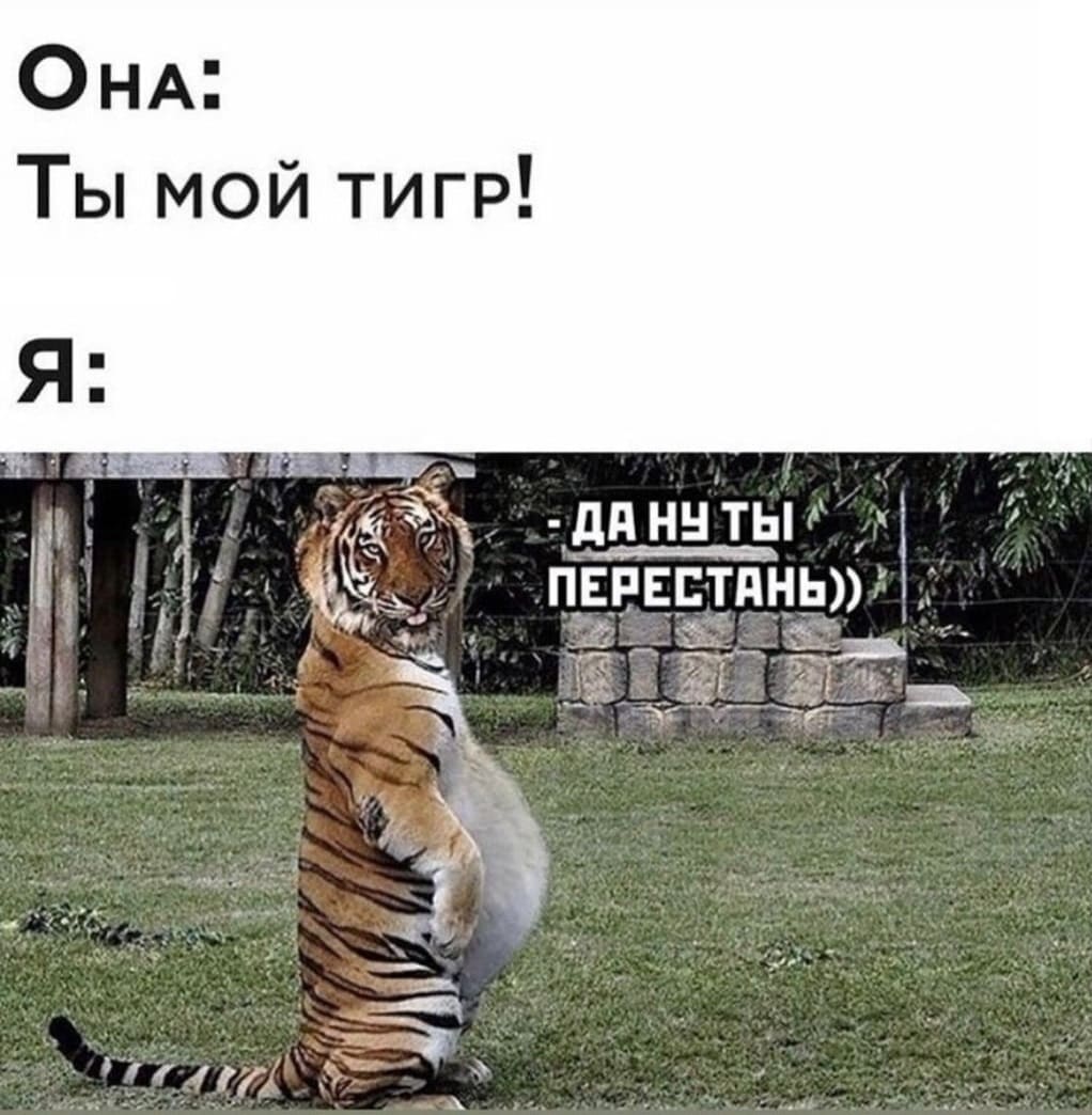 Она:
– Ты мой тигр!
Я:
– Да ну ты, перестань...